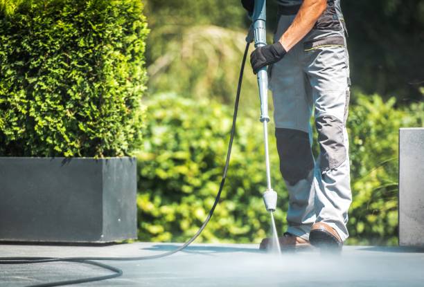 Best Graffiti Removal Services in Creedmoor, NC